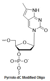 Bio-Synthesis Inc. Oligo Structure